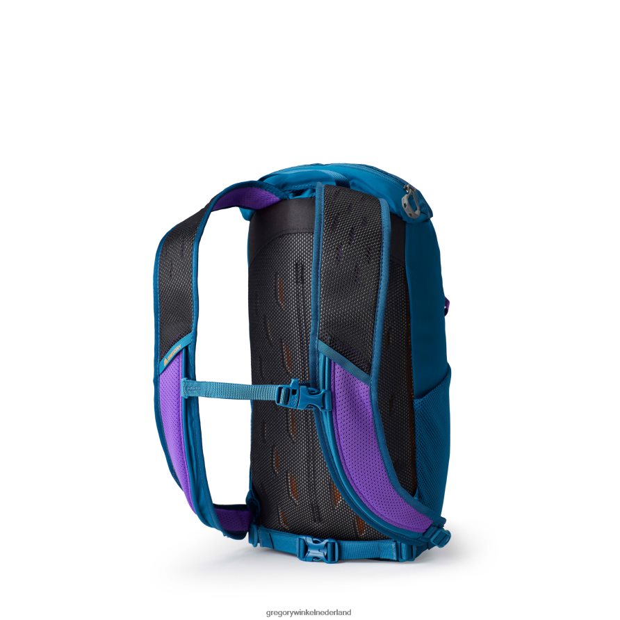 nano 16 plus-formaat Gregory Packs icoon groenblauw pakken 24ZB4Z95