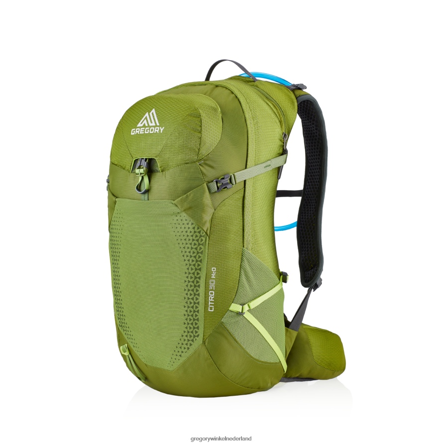 citroen 30 h2o Gregory Packs bidsprinkhaan groen pakken 24ZB4Z276