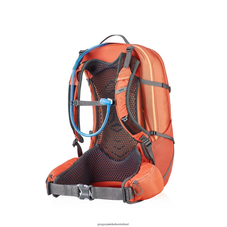 juni 30 h2o Gregory Packs koraal rood pakken 24ZB4Z296